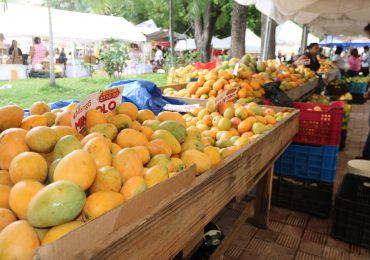 Feria del Mango 2024 culmina con éxito