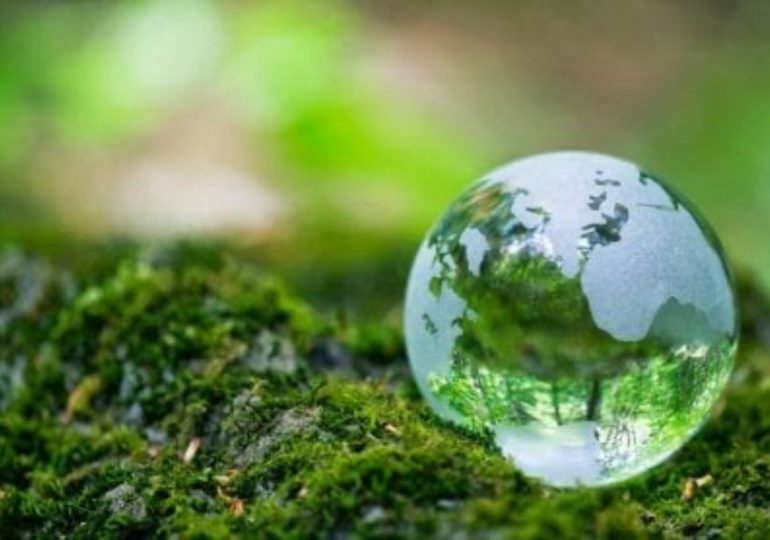 Día Mundial del Medio Ambiente: por qué se conmemora hoy, miércoles 5 de junio