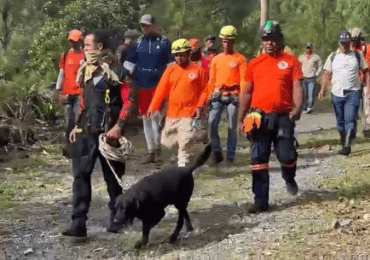 Max: El canino que estuvo en la búsqueda de la senderista Trinidad De La Cruz
