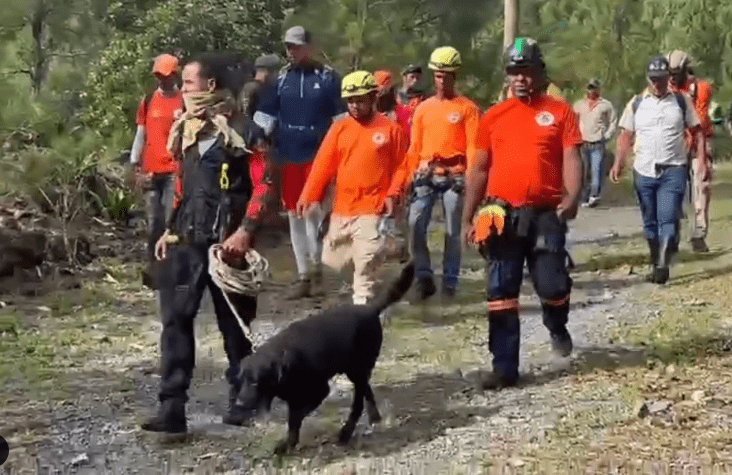 Max: El canino que estuvo en la búsqueda de la senderista Trinidad De La Cruz