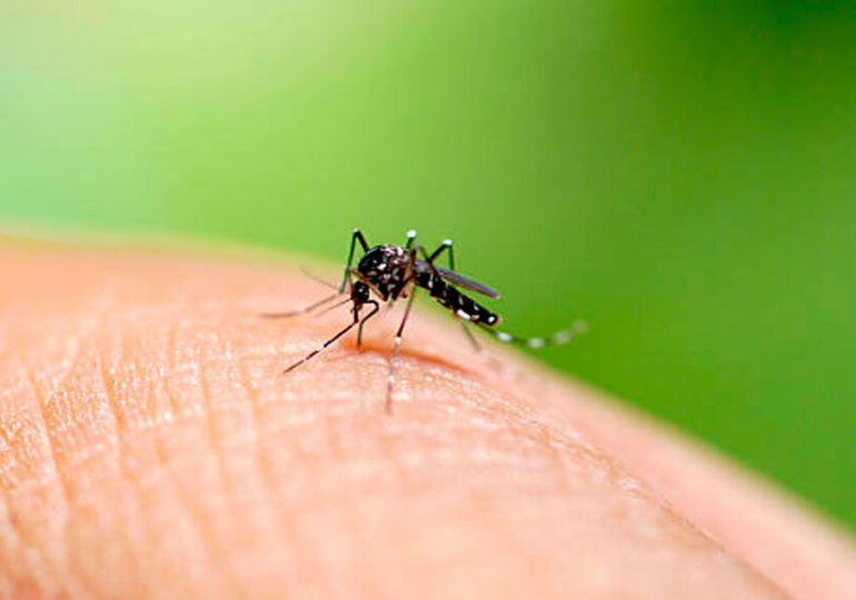 República Dominicana confirma casi mil casos de dengue y nueve muertes