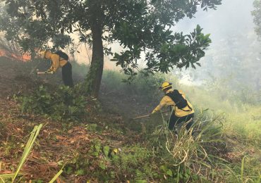 Bomberos de Medio Ambiente combaten incendio forestal en la Cienaguita