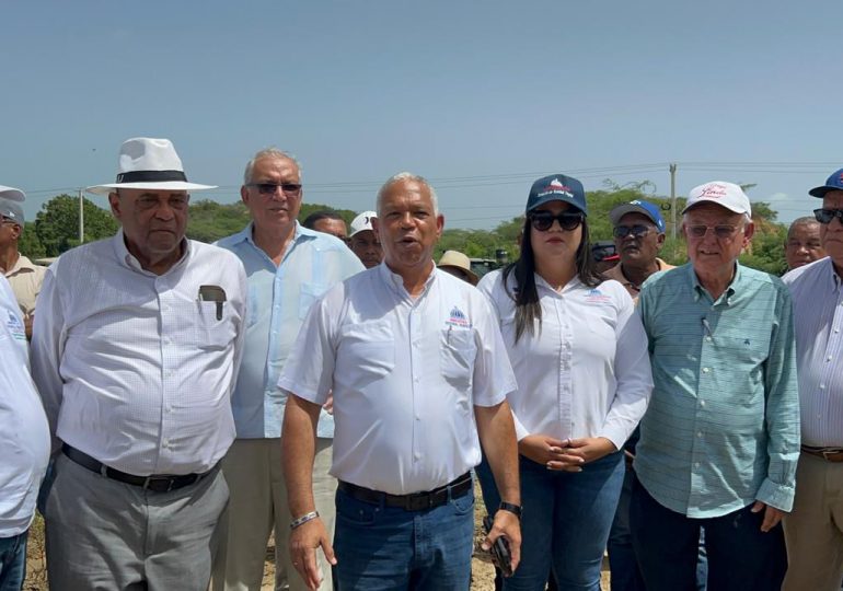 Agricultura dispone prohibición para cultivos hospederos de mosca blanca en zona Norte y Noroeste