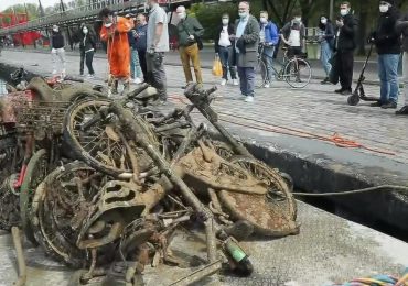 Broma parisina: El Sena "único río" con más ratas que peces y heces fecales