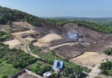 Dos meses de prisión al responsable de un desmonte de bosque seco en Buen Hombre 