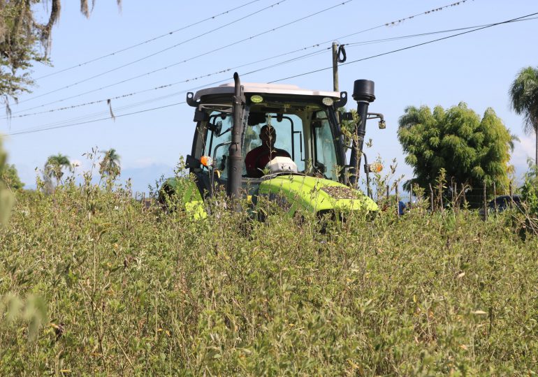 <strong>Ministerio de Agricultura dispone veda cultivos hospederos de la flor de habichuela y mosca blanca en San Juan</strong>