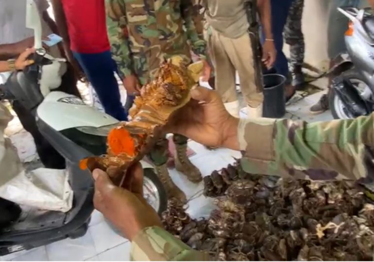 Incautan cargamento de mariscos en veda eran transportados en autobús de pasajeros