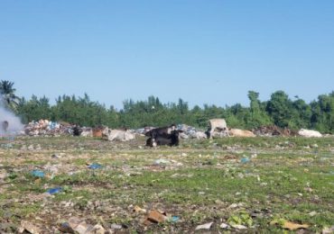 Proyecto Nordeste Sostenible impacta al medio ambiente en María Trinidad Sánchez y Samaná