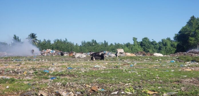 Proyecto Nordeste Sostenible impacta al medio ambiente en María Trinidad Sánchez y Samaná