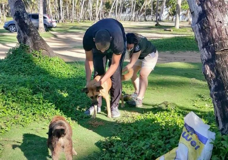 Pets Breeding Control anuncia vacunación gratuita para perros del sector La Yaguita