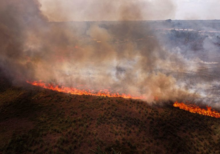 Los incendios en la selva amazónica de Brasil están en su nivel más alto desde 2010