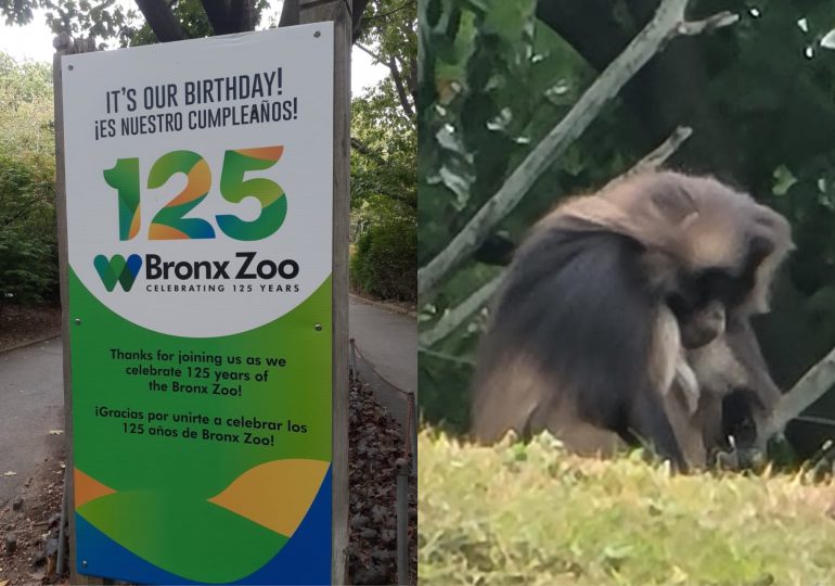 Zoológico de Nueva York celebra 125 aniversario