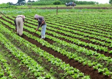 Hoy celebramos el día mundial de la agricultura: un homenaje a los héroes del campo