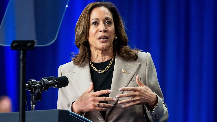 Kamala Harris llama a poner fin a la “epidemia” de violencia armada en Estados Unidos