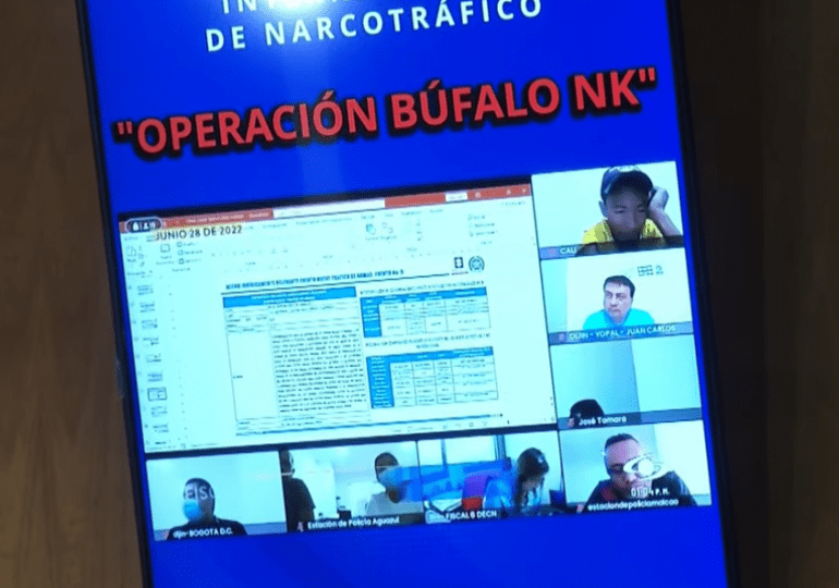 Operación Búfalo NK: Red de narcotráfico donde operaban dominicanos y extranjeros