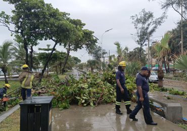 Bomberos y brigadas operativas de la Alcaldía del DN retiran árboles caídos y recuperan zonas afectadas