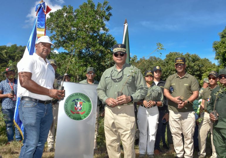 SENPA da inicio a jornada de reforestación