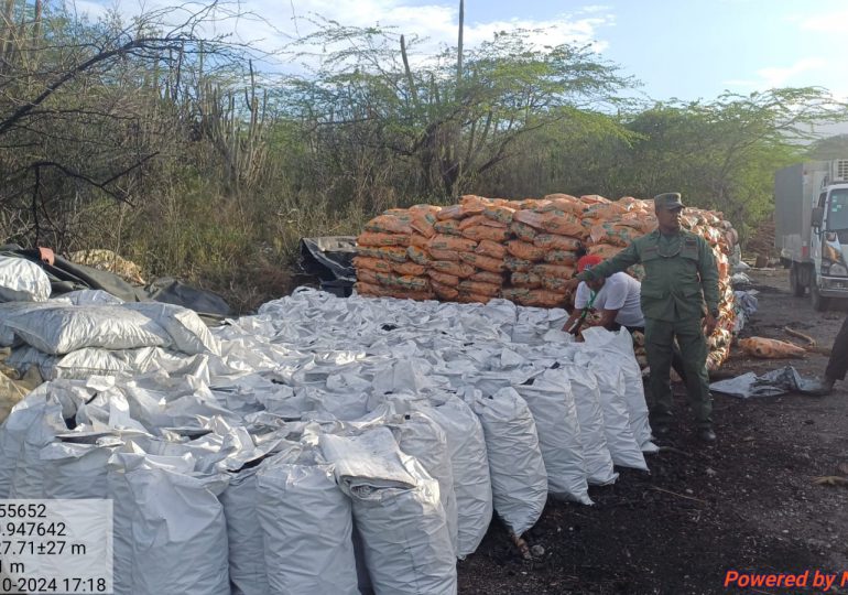 SENPA y Medio Ambiente incautan 1,200 sacos de carbón vegetal