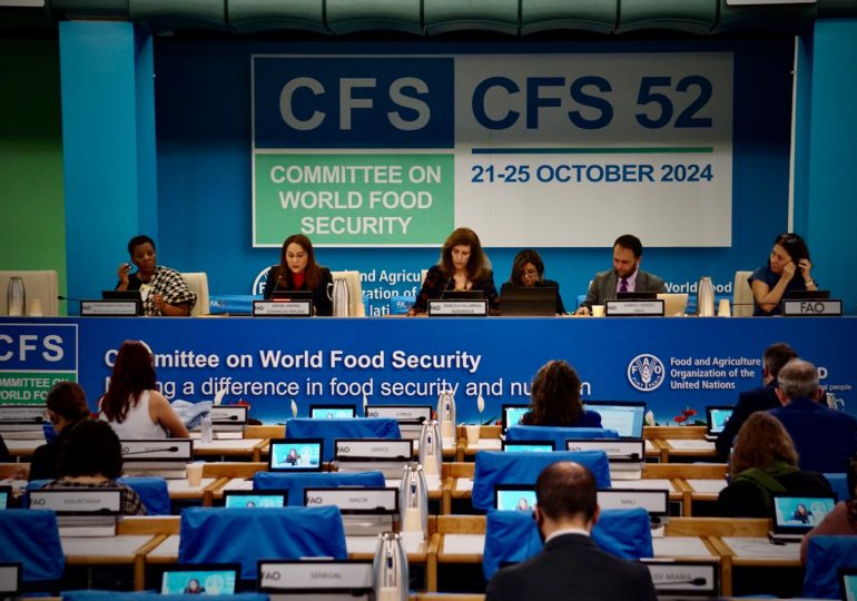 Ministra de la Mujer participa en Foro sobre Directrices Voluntarias del Comité de Seguridad Alimentaria Mundial, sobre igualdad y empoderamiento de las mujeres