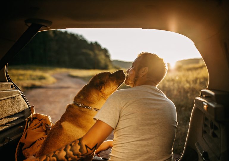 Los humanos hablan más de espacio con los perros para mejorar la comprensión