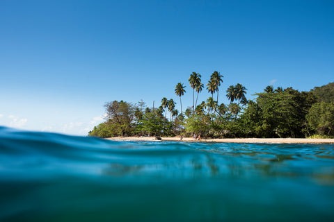 Puerto Rico se sacude el estigma de "isla de basura" al declarar nueva reserva marina