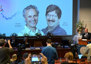 Otorgan el Nobel de Medicina a dos estadounidenses por los avances en la regulación de genes