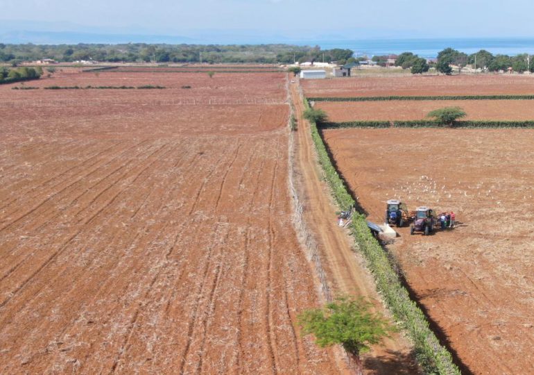 Ministerio de Agricultura prepara en Puerto Plata 7,900 tareas de tierras gratis a productores