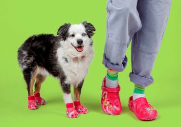 Crocs lanza calzado para perros para que puedas ir conjuntado con tu amigo de cuatro patas