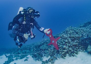 El español que encontró el mayor coral del mundo: "Salí con una sonrisa de oreja a oreja"