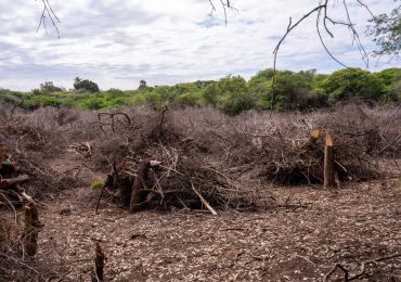 Medio Ambiente investiga daños en las dunas de Baní