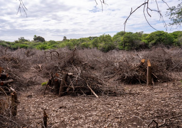 Medio Ambiente investiga daños en las dunas de Baní