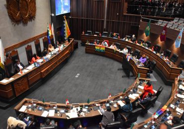 Video: Diputados protagonizan pelea en la Asamblea Legislativa de Bolivia