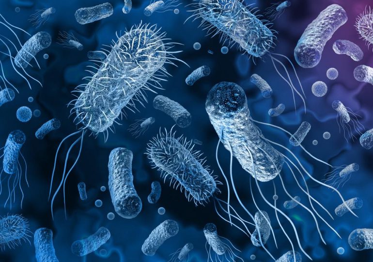 Resistencia a los antimicrobianos reducirá la esperanza de vida en 1,8 años para el 2050