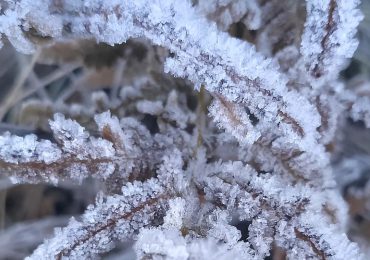 Temperaturas bajo cero por tercer día consecutivo en Valle Nuevo