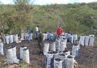 Medio Ambiente y SENPA incautan 215 sacos de carbón vegetal en Tabara Abajo