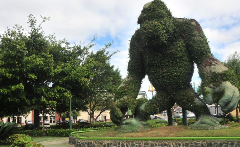 Adiós al "Zooberto": vea el antes y después del famoso Parque Temático ¿Qué opina la gente?