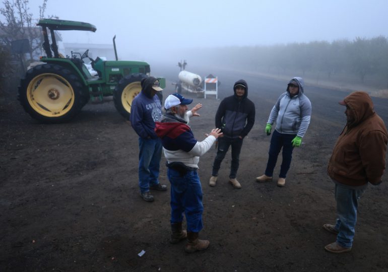 Agricultores de EEUU preocupados por promesas de deportaciones masivas de Trump