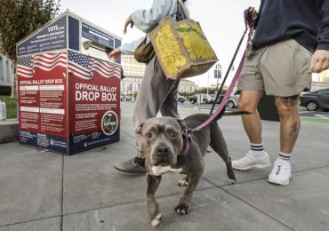 Alertan a dueños de mascotas en EE.UU. y Canadá por comida contaminada con gripe aviar