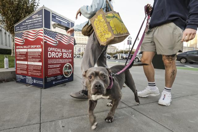 Alertan a dueños de mascotas en EE.UU. y Canadá por comida contaminada con gripe aviar