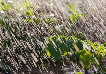 COE mantiene alerta verde en tres provincias por lluvias dispersas