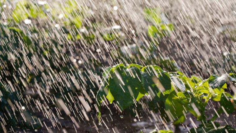 COE mantiene alerta verde en tres provincias por lluvias dispersas