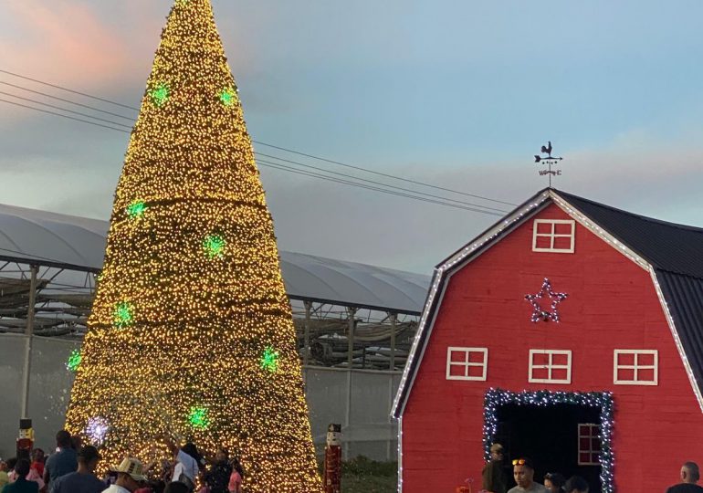 La magia de la navidad se siente en los campos de Tierra Tropical