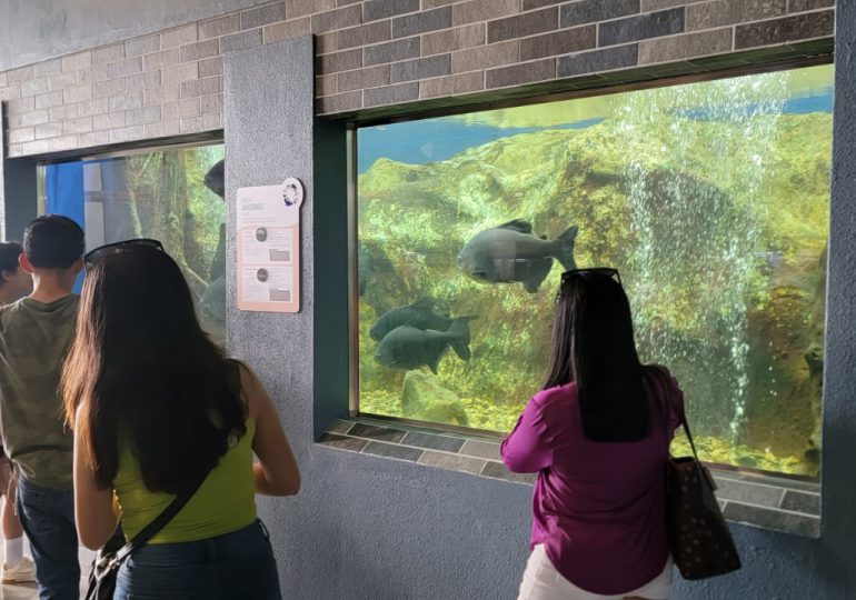 Acuario Nacional, en su primer día de reabrir sus puertas, recibe gran cantidad de visitantes