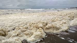 Video: Las costas de Biarritz amanecen cubiertas de espuma marina debido a la Borrasca Darragh