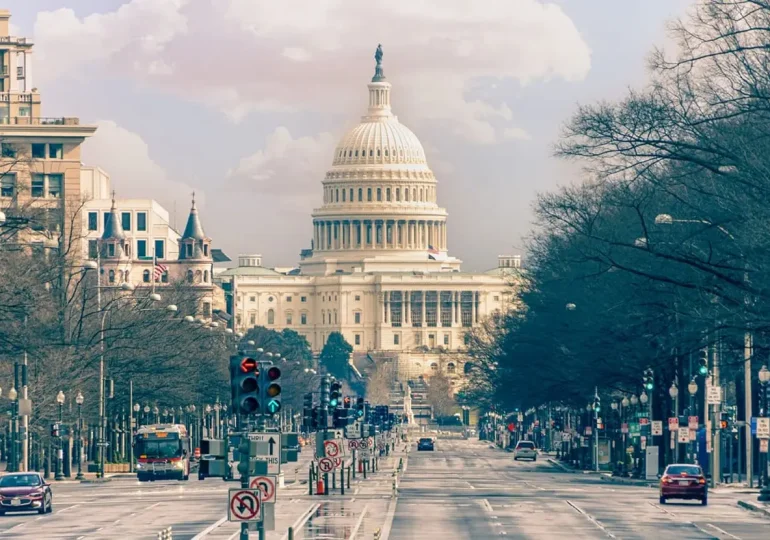 Washington DC, capital del poder y de las ratas