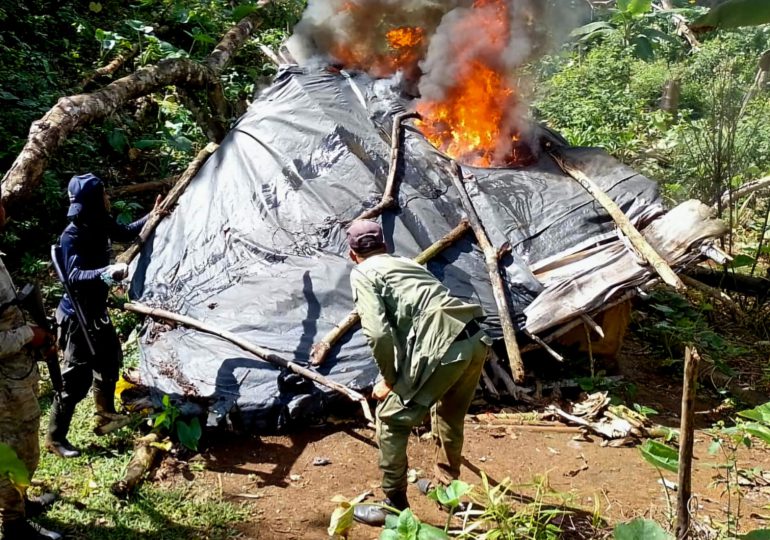 SENPA y Medio Ambiente detienen 10 ciudadanos haitianos por causar daños en Parque Nacional Los Haitises