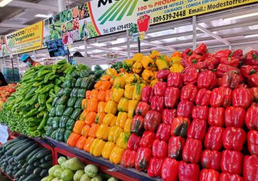 Agricultura: “RD logra récord en producción de vegetales en invernaderos"