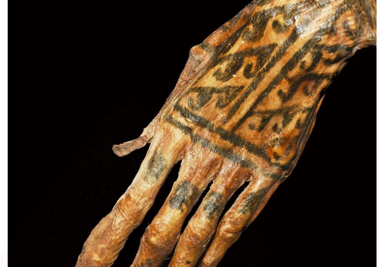 Tatuajes en momias de Perú de 1.200 años de antigüedad revelan complejidad artística