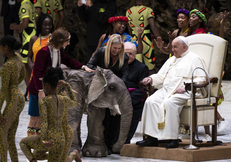 Dos elefantes robóticos y un circo, protagonistas en la audiencia general del papa