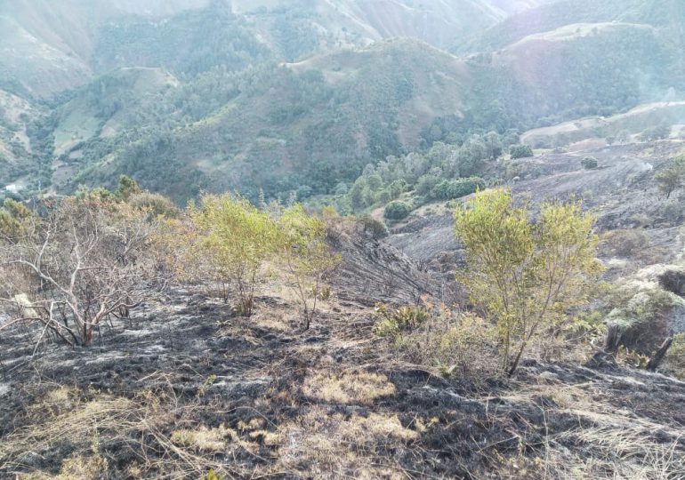 Bomberos forestales extinguen incendio en el Parque Nacional Valle Nuevo